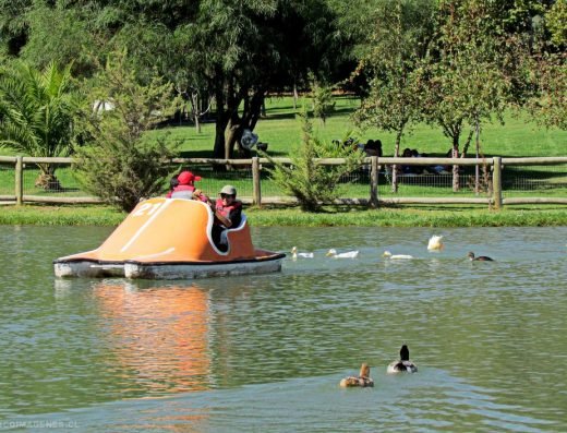 Parque Padre Hurtado