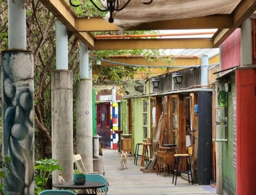 Paseo Artes La Reina