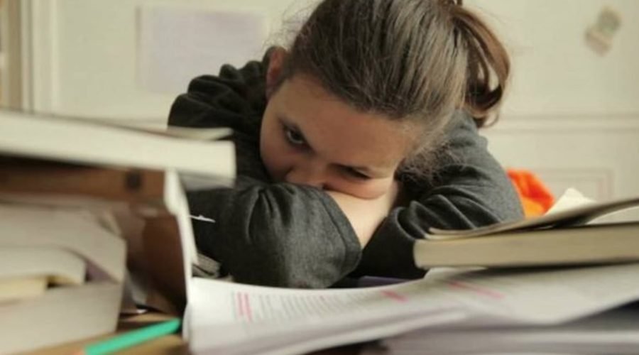 ¿Cumple con sus objetivos la educación primaria?